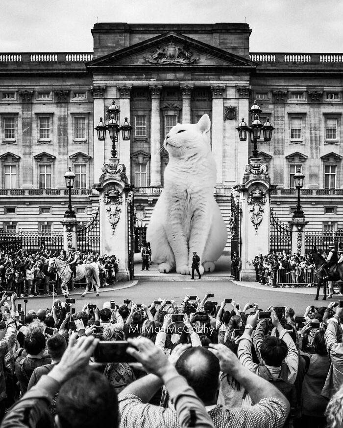 Artist Imagines Surreal Parallel Universe Where Giant Cats Reign, And Here Are 30 New Pieces Artist Imagines Surreal Parallel Universe Where Giant Cats Reign, And Here Are 30 New Pieces