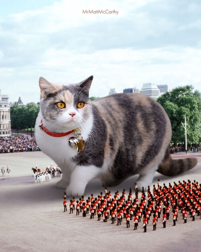 Artist Imagines Surreal Parallel Universe Where Giant Cats Reign, And Here Are 30 New Pieces Artist Imagines Surreal Parallel Universe Where Giant Cats Reign, And Here Are 30 New Pieces