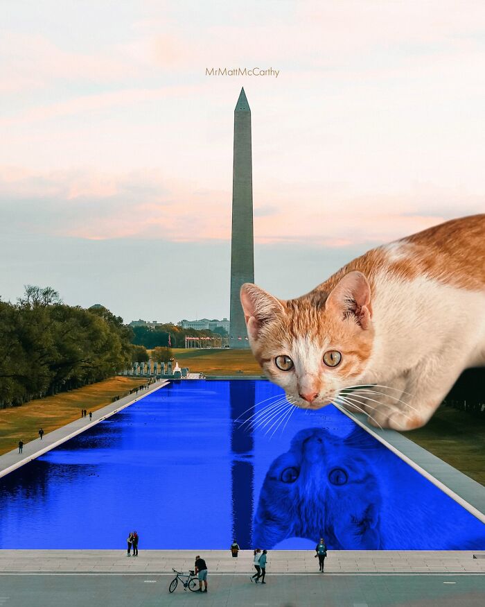 Artist Imagines Surreal Parallel Universe Where Giant Cats Reign, And Here Are 30 New Pieces Artist Imagines Surreal Parallel Universe Where Giant Cats Reign, And Here Are 30 New Pieces