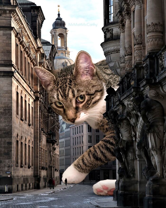 Artist Imagines Surreal Parallel Universe Where Giant Cats Reign, And Here Are 30 New Pieces Artist Imagines Surreal Parallel Universe Where Giant Cats Reign, And Here Are 30 New Pieces
