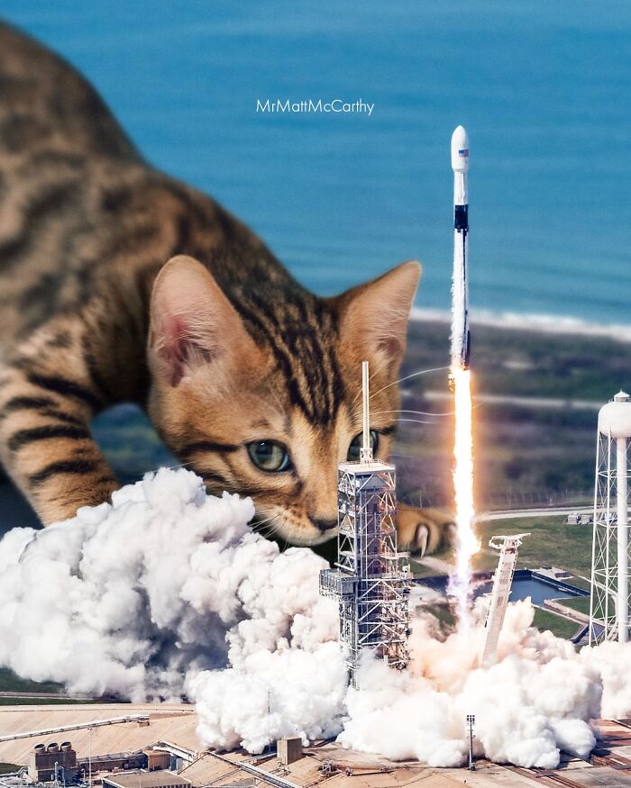 Artist Imagines Surreal Parallel Universe Where Giant Cats Reign, And Here Are 30 New Pieces Artist Imagines Surreal Parallel Universe Where Giant Cats Reign, And Here Are 30 New Pieces
