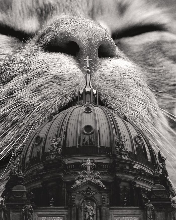 Artist Imagines Surreal Parallel Universe Where Giant Cats Reign, And Here Are 30 New Pieces Artist Imagines Surreal Parallel Universe Where Giant Cats Reign, And Here Are 30 New Pieces