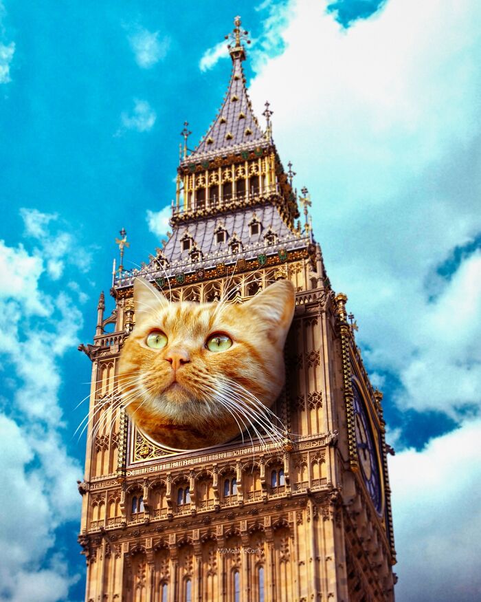 Artist Imagines Surreal Parallel Universe Where Giant Cats Reign, And Here Are 30 New Pieces Artist Imagines Surreal Parallel Universe Where Giant Cats Reign, And Here Are 30 New Pieces