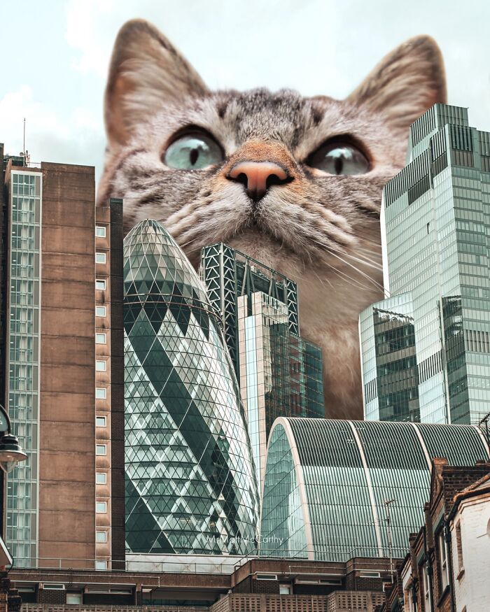 Artist Imagines Surreal Parallel Universe Where Giant Cats Reign, And Here Are 30 New Pieces Artist Imagines Surreal Parallel Universe Where Giant Cats Reign, And Here Are 30 New Pieces