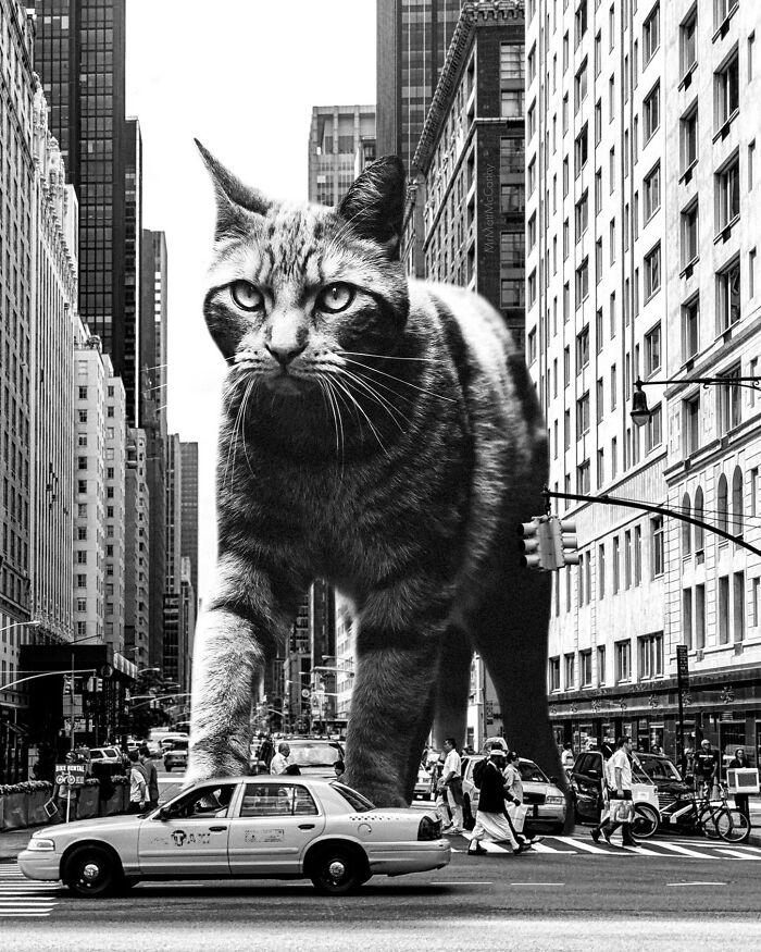 Artist Imagines Surreal Parallel Universe Where Giant Cats Reign, And Here Are 30 New Pieces Artist Imagines Surreal Parallel Universe Where Giant Cats Reign, And Here Are 30 New Pieces