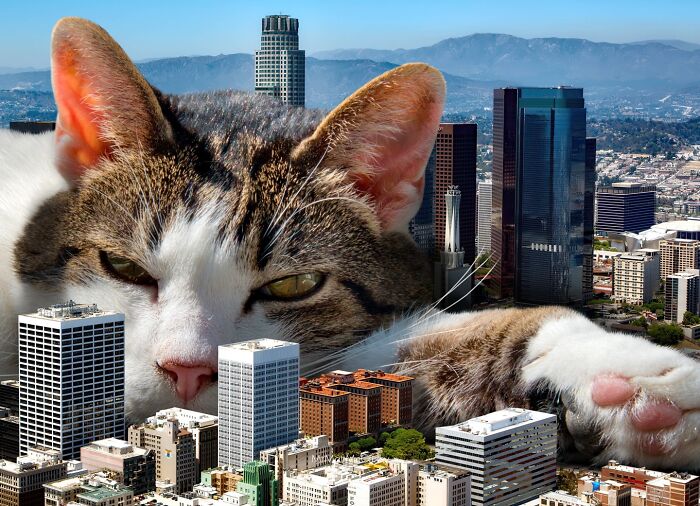 Artist Imagines Surreal Parallel Universe Where Giant Cats Reign, And Here Are 30 New Pieces Artist Imagines Surreal Parallel Universe Where Giant Cats Reign, And Here Are 30 New Pieces