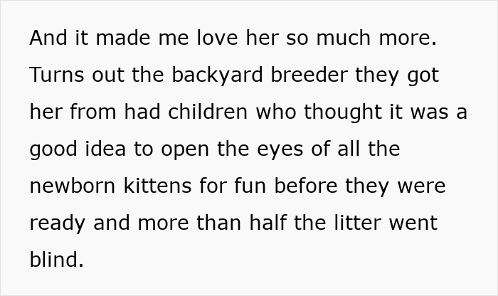 Woman Thinks Her Blind Cat Is Being Annoying, Realizes She Was Trying To Signal A Serious Problem Woman Thinks Her Blind Cat Is Being Annoying, Realizes She Was Trying To Signal A Serious Problem