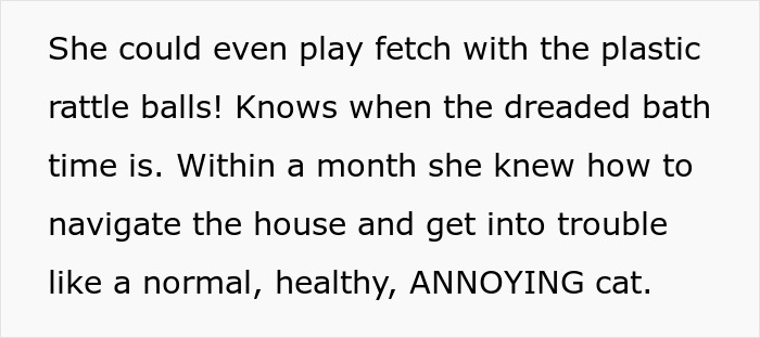 Woman Thinks Her Blind Cat Is Being Annoying, Realizes She Was Trying To Signal A Serious Problem Woman Thinks Her Blind Cat Is Being Annoying, Realizes She Was Trying To Signal A Serious Problem
