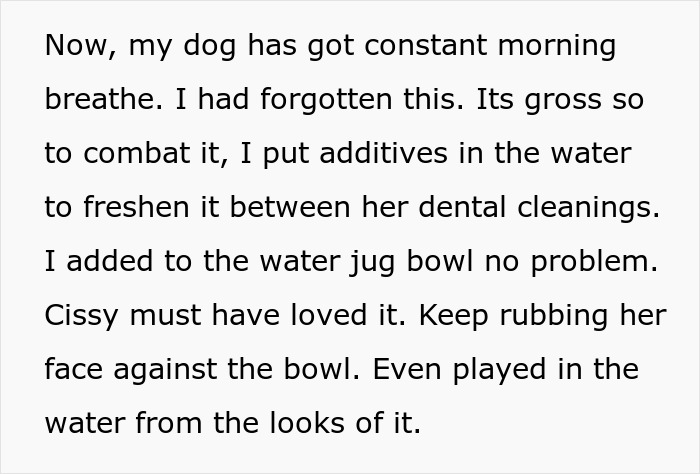Woman Thinks Her Blind Cat Is Being Annoying, Realizes She Was Trying To Signal A Serious Problem Woman Thinks Her Blind Cat Is Being Annoying, Realizes She Was Trying To Signal A Serious Problem