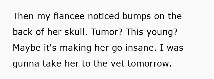 Woman Thinks Her Blind Cat Is Being Annoying, Realizes She Was Trying To Signal A Serious Problem Woman Thinks Her Blind Cat Is Being Annoying, Realizes She Was Trying To Signal A Serious Problem