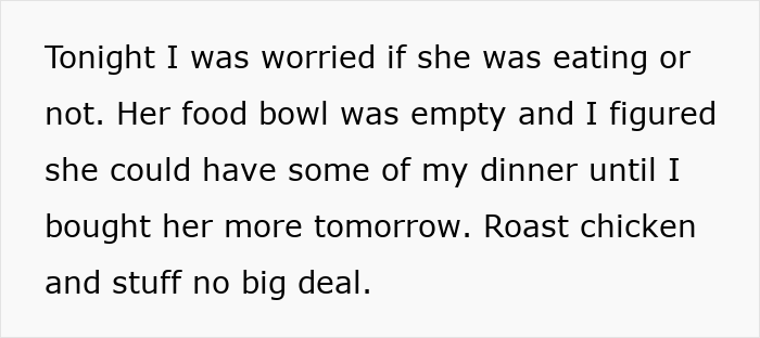 Woman Thinks Her Blind Cat Is Being Annoying, Realizes She Was Trying To Signal A Serious Problem Woman Thinks Her Blind Cat Is Being Annoying, Realizes She Was Trying To Signal A Serious Problem
