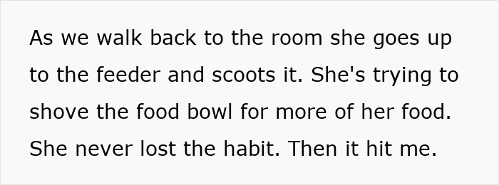 Woman Thinks Her Blind Cat Is Being Annoying, Realizes She Was Trying To Signal A Serious Problem Woman Thinks Her Blind Cat Is Being Annoying, Realizes She Was Trying To Signal A Serious Problem