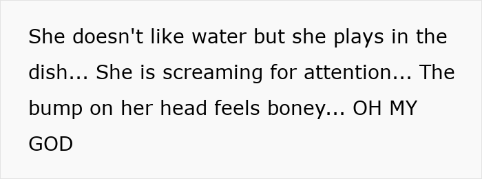 Woman Thinks Her Blind Cat Is Being Annoying, Realizes She Was Trying To Signal A Serious Problem Woman Thinks Her Blind Cat Is Being Annoying, Realizes She Was Trying To Signal A Serious Problem