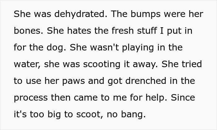 Woman Thinks Her Blind Cat Is Being Annoying, Realizes She Was Trying To Signal A Serious Problem Woman Thinks Her Blind Cat Is Being Annoying, Realizes She Was Trying To Signal A Serious Problem