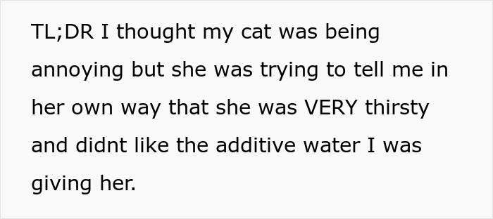 Woman Thinks Her Blind Cat Is Being Annoying, Realizes She Was Trying To Signal A Serious Problem Woman Thinks Her Blind Cat Is Being Annoying, Realizes She Was Trying To Signal A Serious Problem