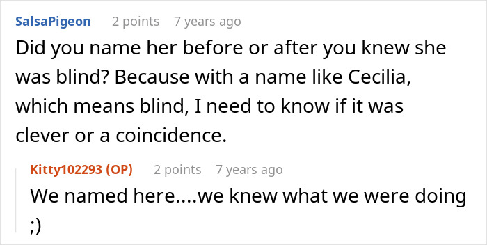 Woman Thinks Her Blind Cat Is Being Annoying, Realizes She Was Trying To Signal A Serious Problem Woman Thinks Her Blind Cat Is Being Annoying, Realizes She Was Trying To Signal A Serious Problem
