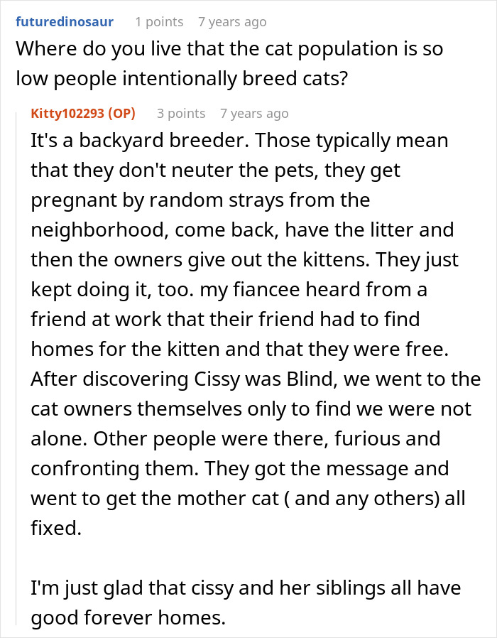 Woman Thinks Her Blind Cat Is Being Annoying, Realizes She Was Trying To Signal A Serious Problem Woman Thinks Her Blind Cat Is Being Annoying, Realizes She Was Trying To Signal A Serious Problem