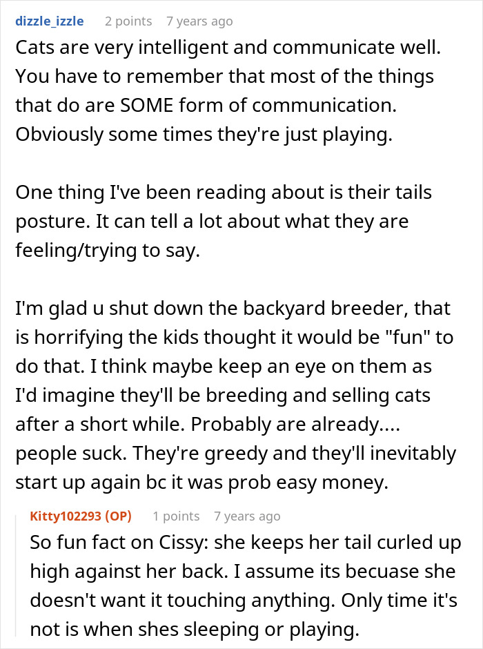 Woman Thinks Her Blind Cat Is Being Annoying, Realizes She Was Trying To Signal A Serious Problem Woman Thinks Her Blind Cat Is Being Annoying, Realizes She Was Trying To Signal A Serious Problem