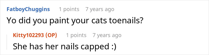 Woman Thinks Her Blind Cat Is Being Annoying, Realizes She Was Trying To Signal A Serious Problem Woman Thinks Her Blind Cat Is Being Annoying, Realizes She Was Trying To Signal A Serious Problem