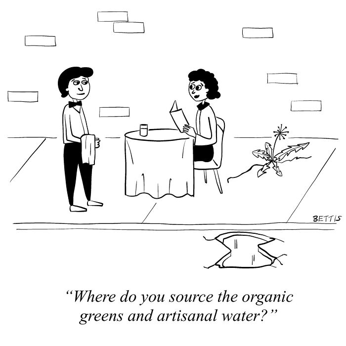 New Yorker Cartoonist Katherine Bettis And Her Talent For Unexpected Humor In 48 Cartoons New Yorker Cartoonist Katherine Bettis And Her Talent For Unexpected Humor In 48 Cartoons