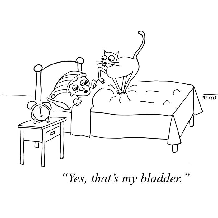 New Yorker Cartoonist Katherine Bettis And Her Talent For Unexpected Humor In 48 Cartoons New Yorker Cartoonist Katherine Bettis And Her Talent For Unexpected Humor In 48 Cartoons