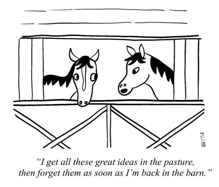 New Yorker Cartoonist Katherine Bettis And Her Talent For Unexpected Humor In 48 Cartoons New Yorker Cartoonist Katherine Bettis And Her Talent For Unexpected Humor In 48 Cartoons