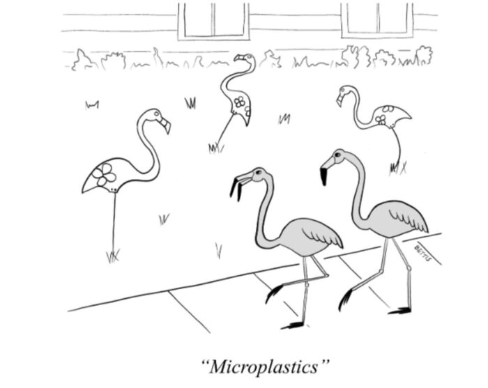 New Yorker Cartoonist Katherine Bettis And Her Talent For Unexpected Humor In 48 Cartoons New Yorker Cartoonist Katherine Bettis And Her Talent For Unexpected Humor In 48 Cartoons