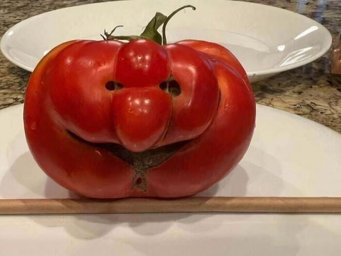 56 Mind-Bending Cases Of Pareidolia That Are Equal Parts Creepy And Hilarious (New Pics) 56 Mind-Bending Cases Of Pareidolia That Are Equal Parts Creepy And Hilarious (New Pics)