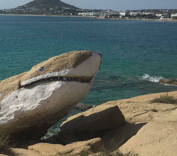 56 Mind-Bending Cases Of Pareidolia That Are Equal Parts Creepy And Hilarious (New Pics) 56 Mind-Bending Cases Of Pareidolia That Are Equal Parts Creepy And Hilarious (New Pics)