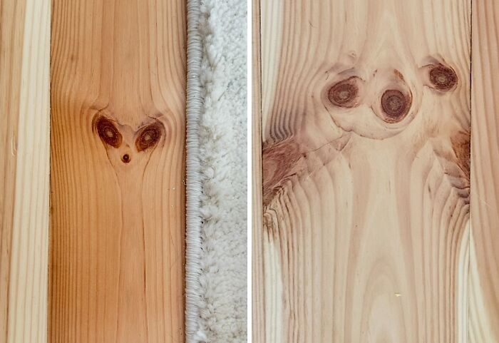 56 Mind-Bending Cases Of Pareidolia That Are Equal Parts Creepy And Hilarious (New Pics) 56 Mind-Bending Cases Of Pareidolia That Are Equal Parts Creepy And Hilarious (New Pics)