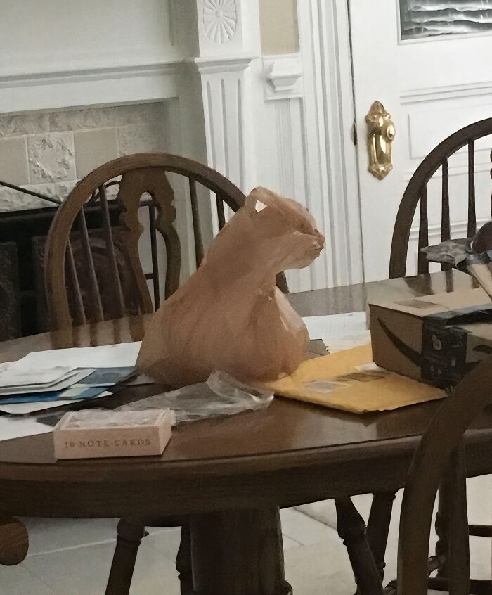 56 Mind-Bending Cases Of Pareidolia That Are Equal Parts Creepy And Hilarious (New Pics) 56 Mind-Bending Cases Of Pareidolia That Are Equal Parts Creepy And Hilarious (New Pics)