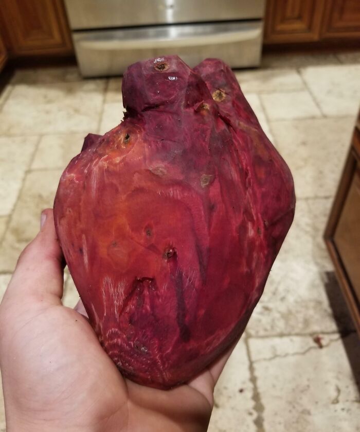 56 Mind-Bending Cases Of Pareidolia That Are Equal Parts Creepy And Hilarious (New Pics) 56 Mind-Bending Cases Of Pareidolia That Are Equal Parts Creepy And Hilarious (New Pics)