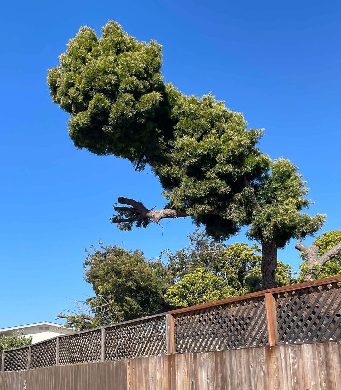 56 Mind-Bending Cases Of Pareidolia That Are Equal Parts Creepy And Hilarious (New Pics) 56 Mind-Bending Cases Of Pareidolia That Are Equal Parts Creepy And Hilarious (New Pics)