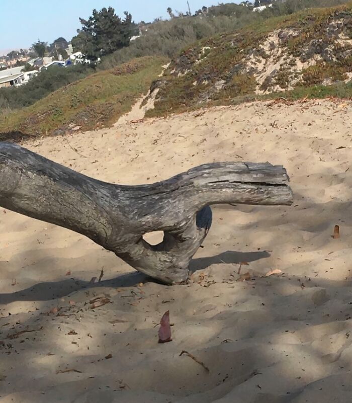 56 Mind-Bending Cases Of Pareidolia That Are Equal Parts Creepy And Hilarious (New Pics) 56 Mind-Bending Cases Of Pareidolia That Are Equal Parts Creepy And Hilarious (New Pics)