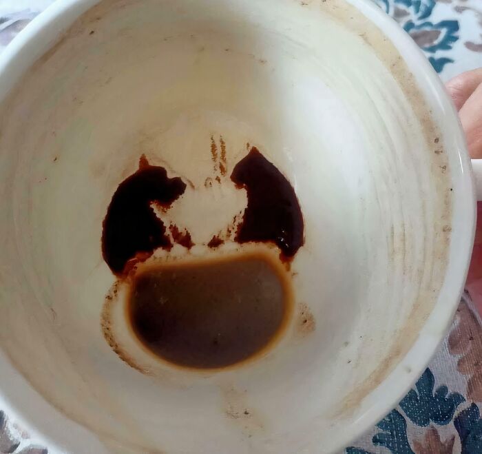 56 Mind-Bending Cases Of Pareidolia That Are Equal Parts Creepy And Hilarious (New Pics) 56 Mind-Bending Cases Of Pareidolia That Are Equal Parts Creepy And Hilarious (New Pics)