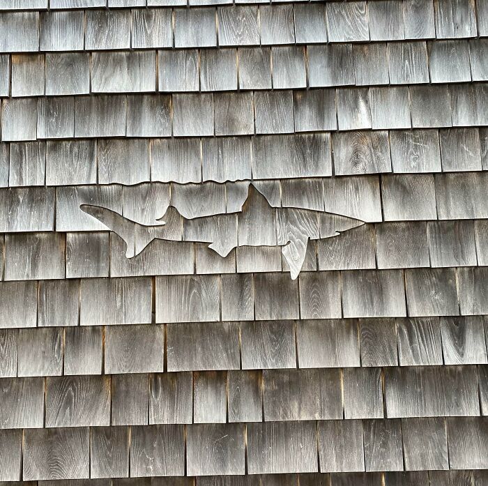 56 Mind-Bending Cases Of Pareidolia That Are Equal Parts Creepy And Hilarious (New Pics) 56 Mind-Bending Cases Of Pareidolia That Are Equal Parts Creepy And Hilarious (New Pics)