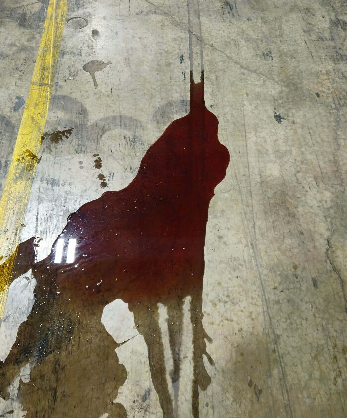 56 Mind-Bending Cases Of Pareidolia That Are Equal Parts Creepy And Hilarious (New Pics) 56 Mind-Bending Cases Of Pareidolia That Are Equal Parts Creepy And Hilarious (New Pics)