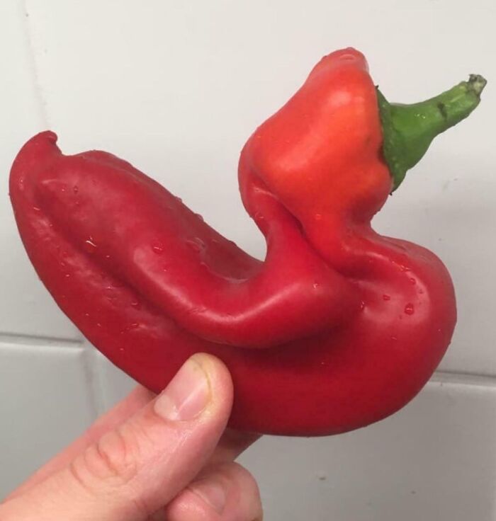 56 Mind-Bending Cases Of Pareidolia That Are Equal Parts Creepy And Hilarious (New Pics) 56 Mind-Bending Cases Of Pareidolia That Are Equal Parts Creepy And Hilarious (New Pics)