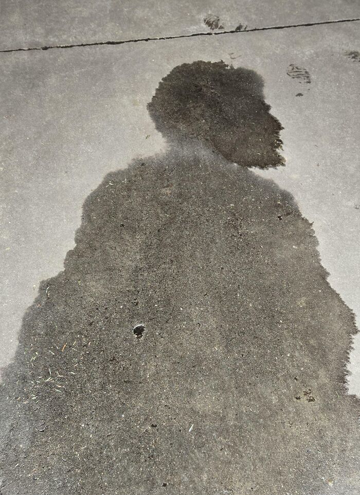 56 Mind-Bending Cases Of Pareidolia That Are Equal Parts Creepy And Hilarious (New Pics) 56 Mind-Bending Cases Of Pareidolia That Are Equal Parts Creepy And Hilarious (New Pics)