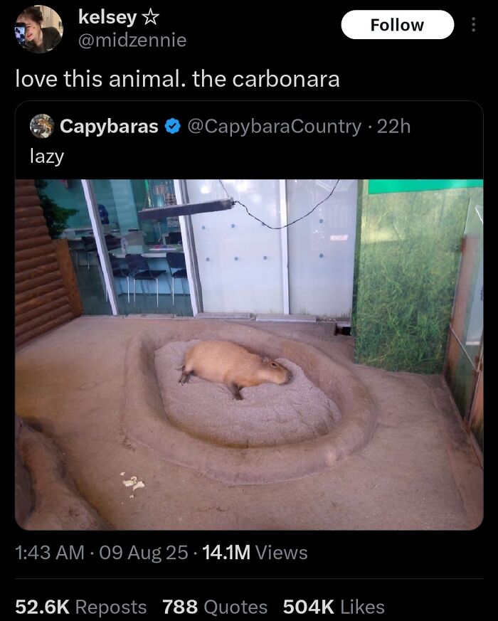“Love This Animal. The Carbonara”: 59 Times People’s Fingers Moved Faster Than Their Brains (New Pics) “Love This Animal. The Carbonara”: 59 Times People’s Fingers Moved Faster Than Their Brains (New Pics)