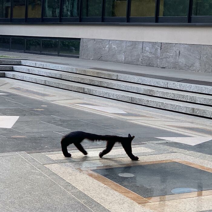 80 Street Photo Sets By Fontanesi That Seamlessly Combine Reality And Unexpected Coincidences 80 Street Photo Sets By Fontanesi That Seamlessly Combine Reality And Unexpected Coincidences