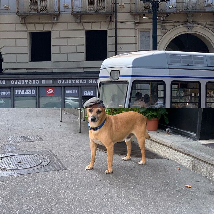 80 Street Photo Sets By Fontanesi That Seamlessly Combine Reality And Unexpected Coincidences 80 Street Photo Sets By Fontanesi That Seamlessly Combine Reality And Unexpected Coincidences