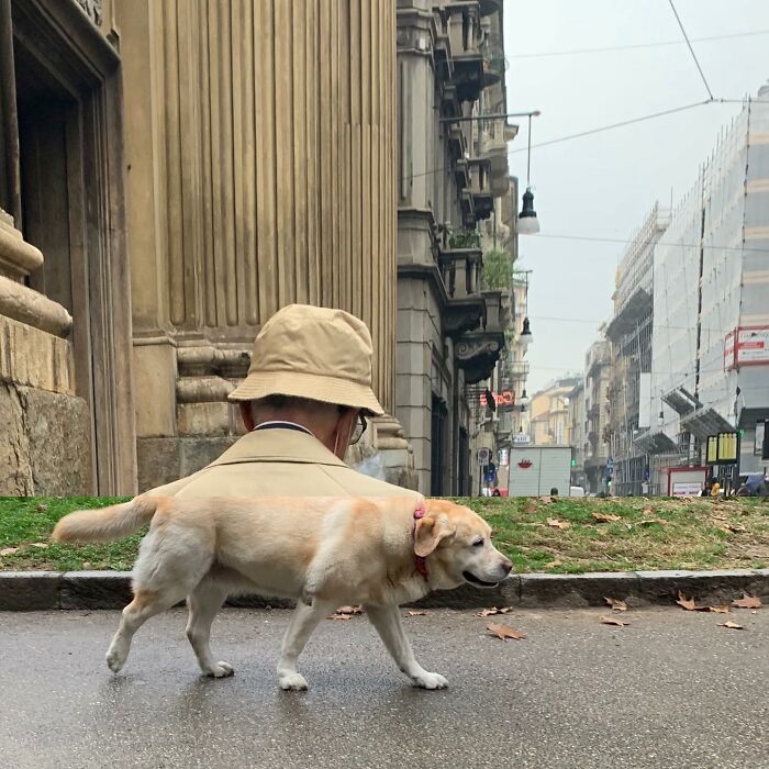 80 Street Photo Sets By Fontanesi That Seamlessly Combine Reality And Unexpected Coincidences 80 Street Photo Sets By Fontanesi That Seamlessly Combine Reality And Unexpected Coincidences