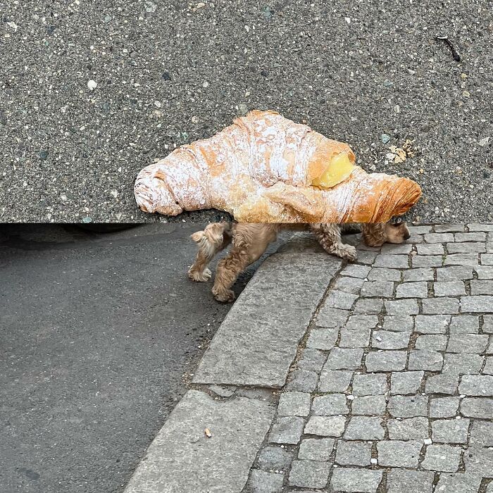 80 Street Photo Sets By Fontanesi That Seamlessly Combine Reality And Unexpected Coincidences 80 Street Photo Sets By Fontanesi That Seamlessly Combine Reality And Unexpected Coincidences