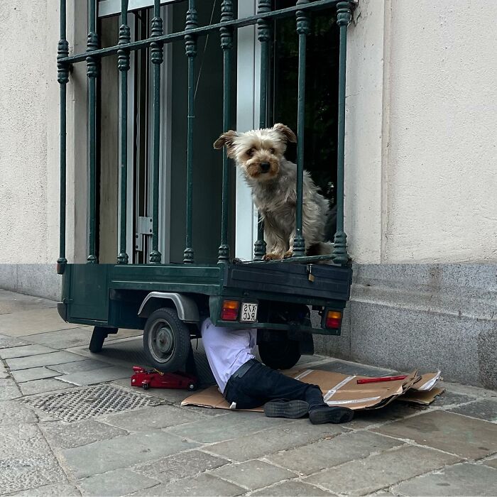 80 Street Photo Sets By Fontanesi That Seamlessly Combine Reality And Unexpected Coincidences 80 Street Photo Sets By Fontanesi That Seamlessly Combine Reality And Unexpected Coincidences