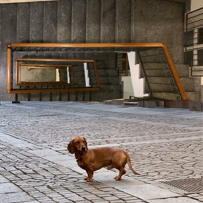 80 Street Photo Sets By Fontanesi That Seamlessly Combine Reality And Unexpected Coincidences 80 Street Photo Sets By Fontanesi That Seamlessly Combine Reality And Unexpected Coincidences