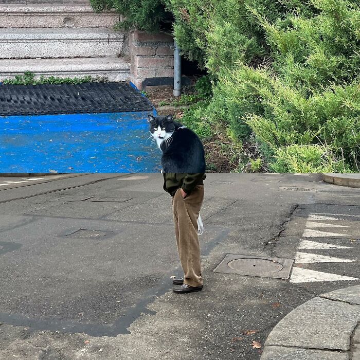 80 Street Photo Sets By Fontanesi That Seamlessly Combine Reality And Unexpected Coincidences 80 Street Photo Sets By Fontanesi That Seamlessly Combine Reality And Unexpected Coincidences