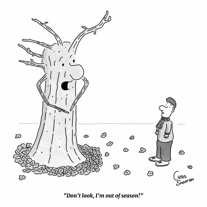41 Clever Cartoons By Chris Shorten That Take Everyday Logic To Unexpected Places 41 Clever Cartoons By Chris Shorten That Take Everyday Logic To Unexpected Places