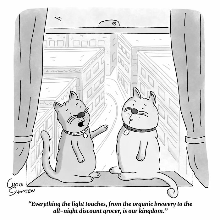 41 Clever Cartoons By Chris Shorten That Take Everyday Logic To Unexpected Places 41 Clever Cartoons By Chris Shorten That Take Everyday Logic To Unexpected Places