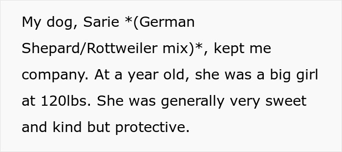 Kids Torment Dog Every Day Until Woman Lets It Loose, Karen Mom Calls Cops But Karma Acts Faster Kids Torment Dog Every Day Until Woman Lets It Loose, Karen Mom Calls Cops But Karma Acts Faster